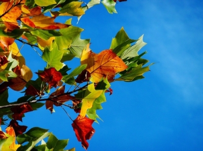herfst